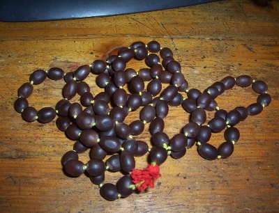 photo_0.jpg